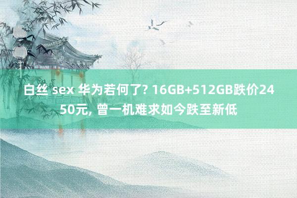 白丝 sex 华为若何了? 16GB+512GB跌价2450元， 曾一机难求如今跌至新低