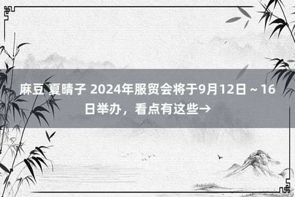 麻豆 夏晴子 2024年服贸会将于9月12日～16日举办，看点有这些→