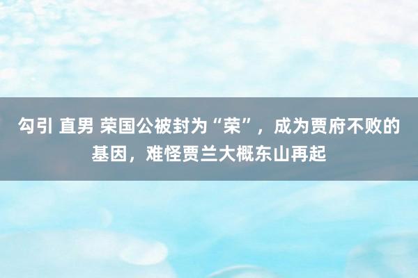 勾引 直男 荣国公被封为“荣”，成为贾府不败的基因，难怪贾兰大概东山再起