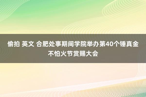 偷拍 英文 合肥处事期间学院举办第40个锤真金不怕火节赏赐大会