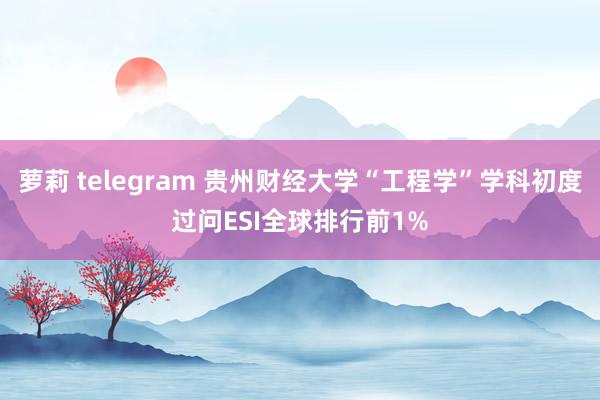 萝莉 telegram 贵州财经大学“工程学”学科初度过问ESI全球排行前1%