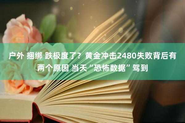 户外 捆绑 跌极度了？黄金冲击2480失败背后有两个原因 当天“恐怖数据”驾到