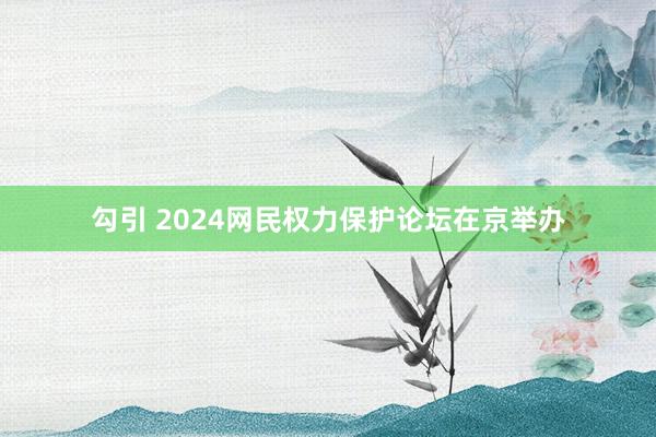 勾引 2024网民权力保护论坛在京举办