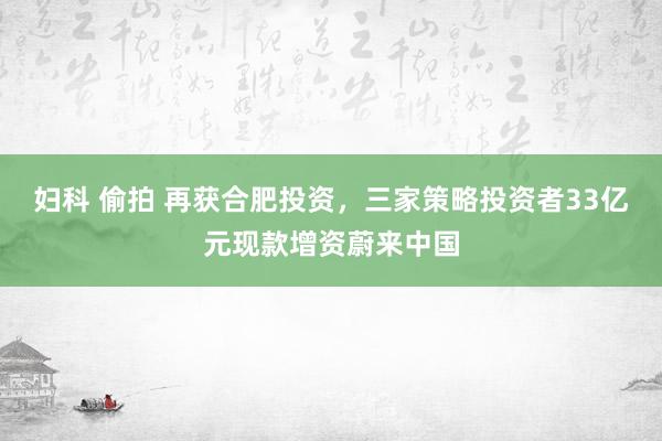 妇科 偷拍 再获合肥投资，三家策略投资者33亿元现款增资蔚来中国