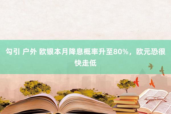 勾引 户外 欧银本月降息概率升至80%，欧元恐很快走低