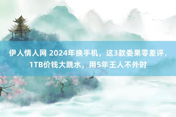 伊人情人网 2024年换手机，这3款委果零差评，1TB价钱大跳水，用5年王人不外时