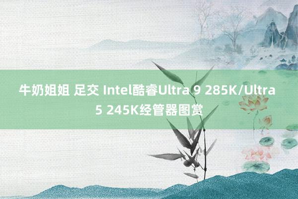 牛奶姐姐 足交 Intel酷睿Ultra 9 285K/Ultra 5 245K经管器图赏