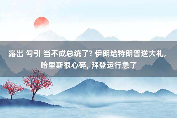 露出 勾引 当不成总统了? 伊朗给特朗普送大礼， 哈里斯很心碎， 拜登运行急了