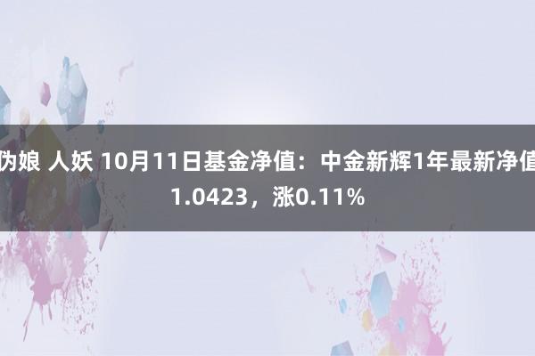 伪娘 人妖 10月11日基金净值：中金新辉1年最新净值1.0423，涨0.11%