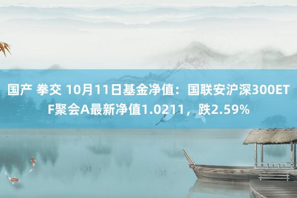 国产 拳交 10月11日基金净值：国联安沪深300ETF聚会A最新净值1.0211，跌2.59%