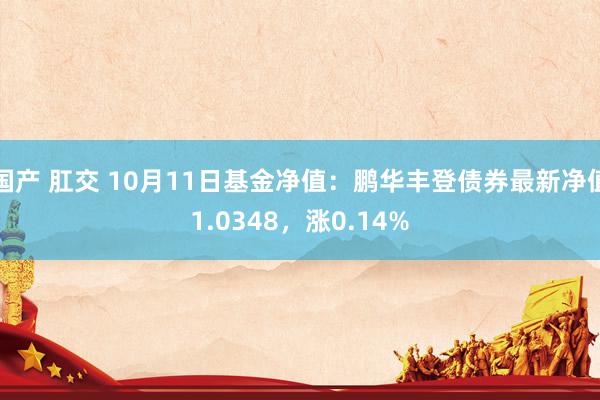 国产 肛交 10月11日基金净值：鹏华丰登债券最新净值1.0348，涨0.14%