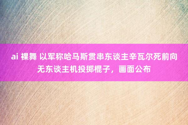 ai 裸舞 以军称哈马斯贯串东谈主辛瓦尔死前向无东谈主机投掷棍子，画面公布