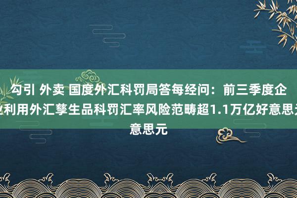 勾引 外卖 国度外汇科罚局答每经问：前三季度企业利用外汇孳生品科罚汇率风险范畴超1.1万亿好意思元