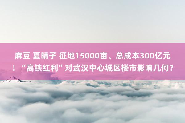 麻豆 夏晴子 征地15000亩、总成本300亿元！“高铁红利”对武汉中心城区楼市影响几何？