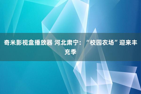 奇米影视盒播放器 河北肃宁：“校园农场”迎来丰充季