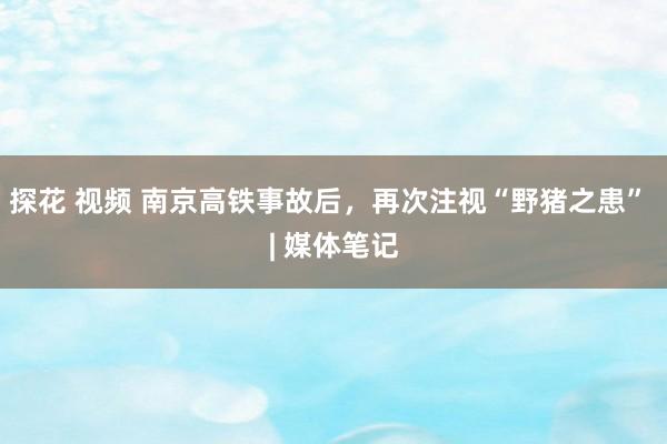 探花 视频 南京高铁事故后，再次注视“野猪之患” | 媒体笔记