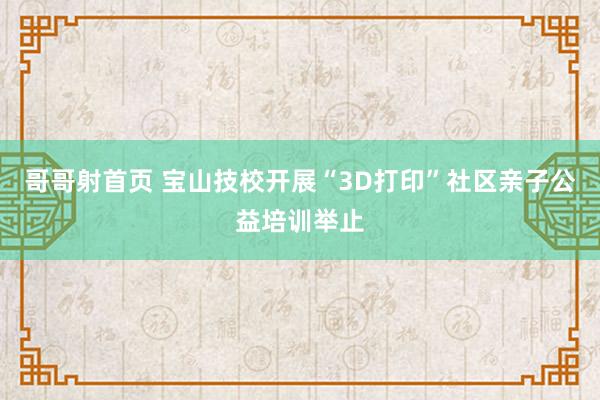 哥哥射首页 宝山技校开展“3D打印”社区亲子公益培训举止