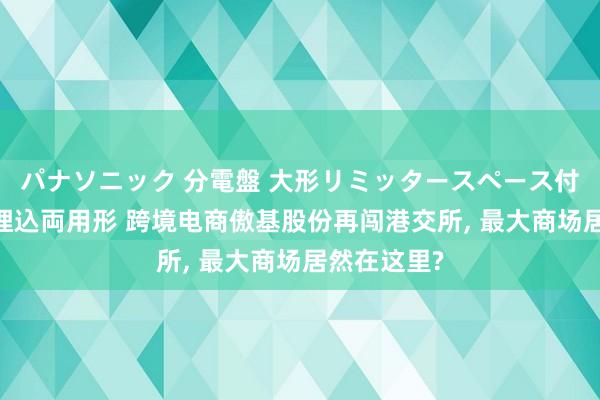 パナソニック 分電盤 大形リミッタースペース付 露出・半埋込両用形 跨境电商傲基股份再闯港交所， 最大商场居然在这里?