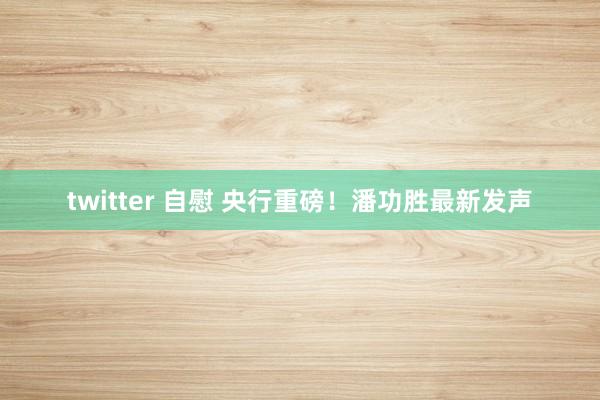 twitter 自慰 央行重磅！潘功胜最新发声