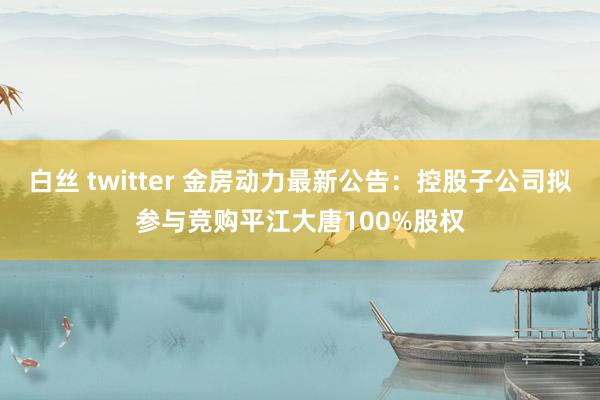 白丝 twitter 金房动力最新公告：控股子公司拟参与竞购平江大唐100%股权