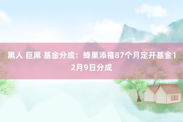 黑人 巨屌 基金分成：蜂巢添禧87个月定开基金12月9日分成