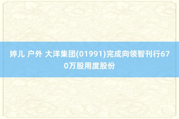 婷儿 户外 大洋集团(01991)完成向领智刊行670万股用度股份