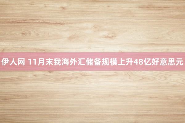 伊人网 11月末我海外汇储备规模上升48亿好意思元