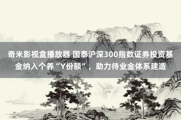 奇米影视盒播放器 国泰沪深300指数证券投资基金纳入个养“Y份额”，助力待业金体系建造