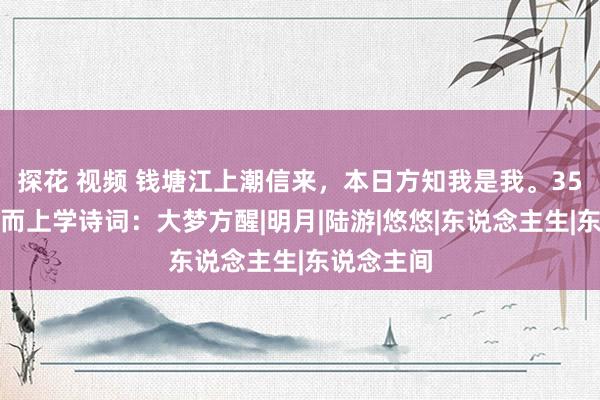 探花 视频 钱塘江上潮信来，本日方知我是我。35句禅意形而上学诗词：大梦方醒|明月|陆游|悠悠|东说念主生|东说念主间