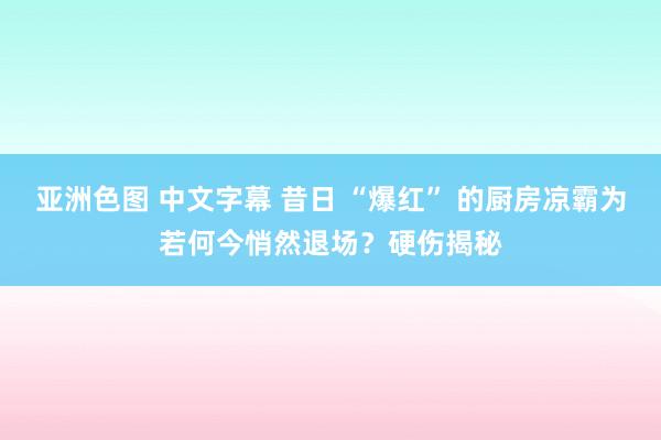 亚洲色图 中文字幕 昔日 “爆红” 的厨房凉霸为若何今悄然退场？硬伤揭秘