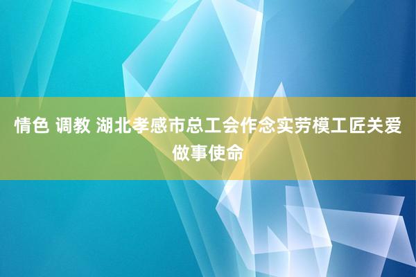 情色 调教 湖北孝感市总工会作念实劳模工匠关爱做事使命