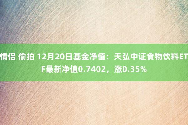 情侣 偷拍 12月20日基金净值：天弘中证食物饮料ETF最新净值0.7402，涨0.35%