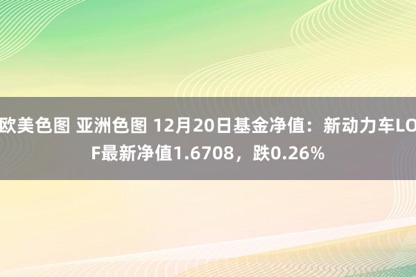 欧美色图 亚洲色图 12月20日基金净值：新动力车LOF最新净值1.6708，跌0.26%