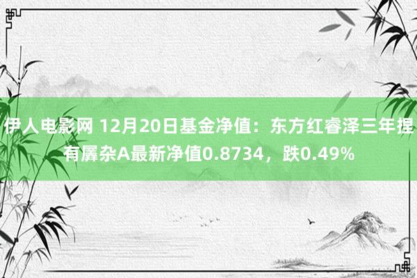 伊人电影网 12月20日基金净值：东方红睿泽三年捏有羼杂A最新净值0.8734，跌0.49%