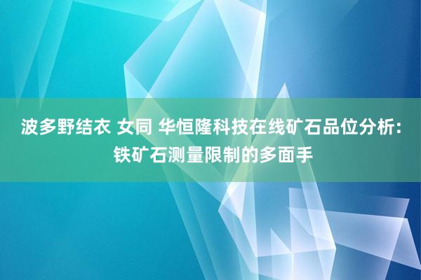 波多野结衣 女同 华恒隆科技在线矿石品位分析: 铁矿石测量限制的多面手