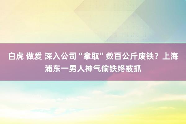 白虎 做爱 深入公司“拿取”数百公斤废铁？上海浦东一男人神气偷铁终被抓