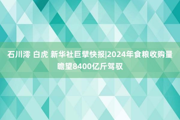 石川澪 白虎 新华社巨擘快报|2024年食粮收购量瞻望8400亿斤驾驭