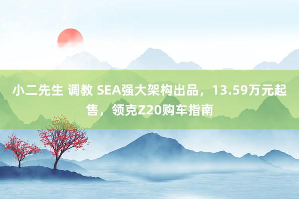 小二先生 调教 SEA强大架构出品，13.59万元起售，领克Z20购车指南