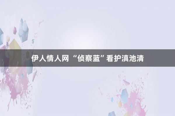 伊人情人网 “侦察蓝”看护滇池清