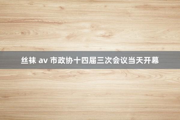 丝袜 av 市政协十四届三次会议当天开幕