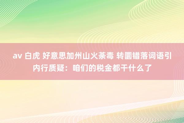 av 白虎 好意思加州山火荼毒 转圜错落词语引内行质疑：咱们的税金都干什么了