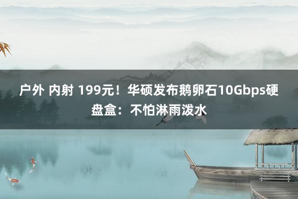 户外 内射 199元！华硕发布鹅卵石10Gbps硬盘盒：不怕淋雨泼水