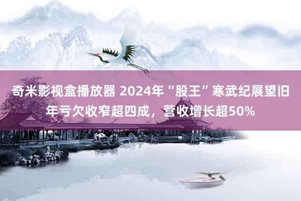 奇米影视盒播放器 2024年“股王”寒武纪展望旧年亏欠收窄超四成，营收增长超50%