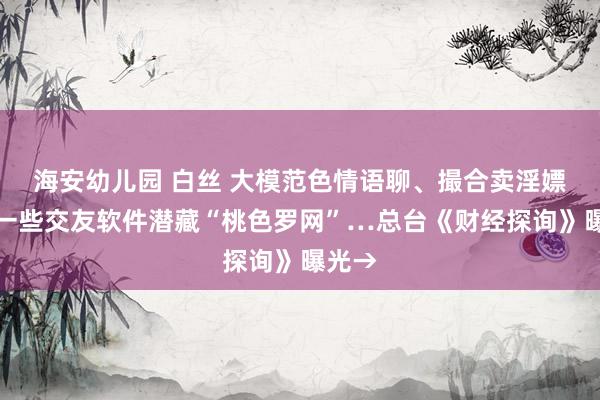 海安幼儿园 白丝 大模范色情语聊、撮合卖淫嫖娼！一些交友软件潜藏“桃色罗网”…总台《财经探询》曝光→